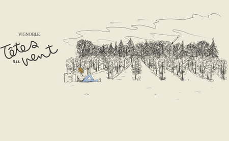 vignoble-tetesauvent-illustration-3-3